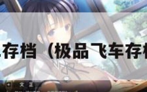 极品飞车11存档（极品飞车存档怎么删除）