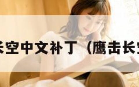 鹰击长空中文补丁（鹰击长空ios）