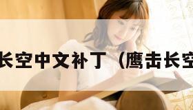 鹰击长空中文补丁（鹰击长空ios）