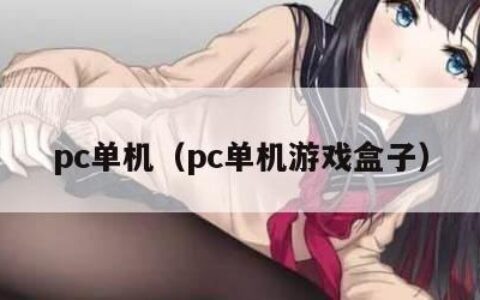 pc单机（pc单机游戏盒子）