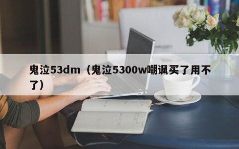 鬼泣53dm（鬼泣5300w嘲讽买了用不了）