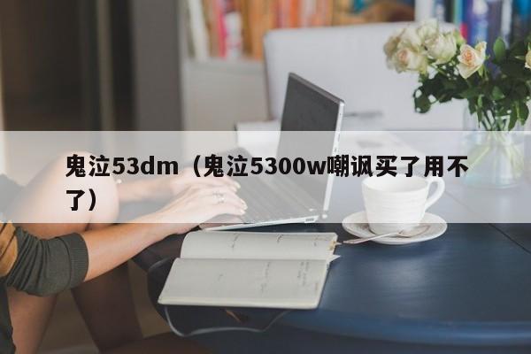 鬼泣53dm（鬼泣5300w嘲讽买了用不了）