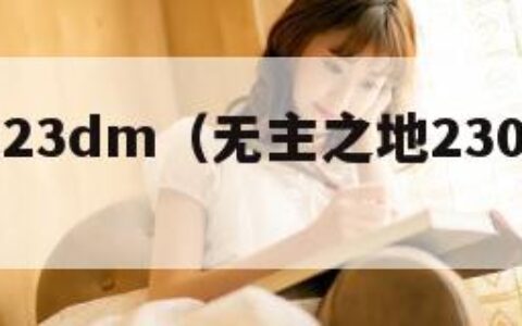无主之地23dm（无主之地230级去哪里刷枪）