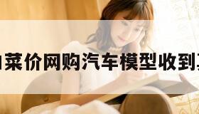 男子白菜价网购汽车模型收到真白菜