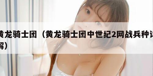 黄龙骑士团（黄龙骑士团中世纪2网战兵种详解）