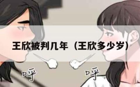 王欣被判几年（王欣多少岁）