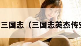 阿达三国志（三国志英杰传安卓）