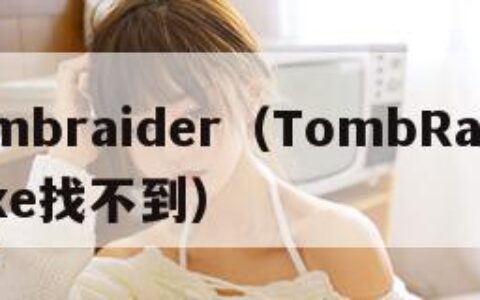 tombraider（TombRaiderexe找不到）