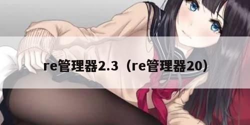 re管理器2.3（re管理器20）
