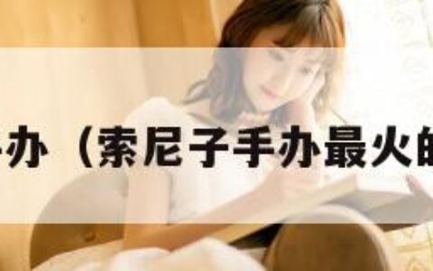 索尼子手办（索尼子手办最火的是哪款）