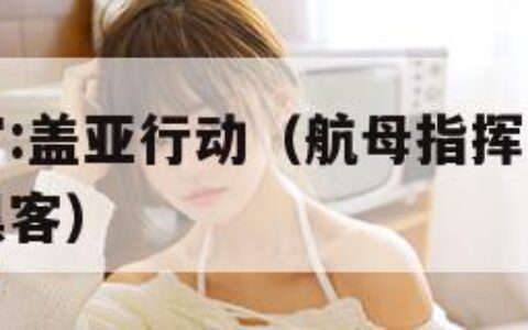 航母指挥官:盖亚行动（航母指挥官盖亚行动怎么安装黑客）