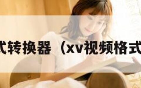 视频格式转换器（xv视频格式转换器）