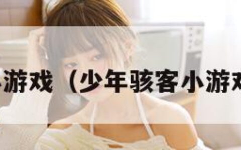 少年骇客小游戏（少年骇客小游戏开摩托车）