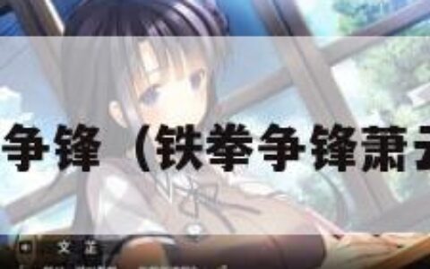 铁拳争锋（铁拳争锋萧云龙）