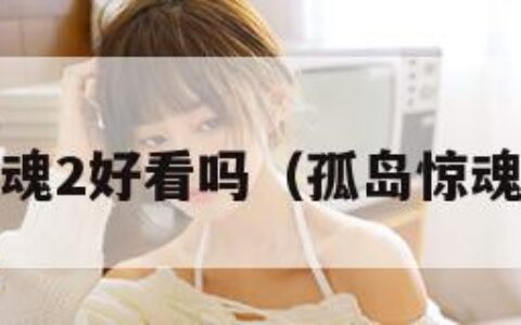 孤岛惊魂2好看吗（孤岛惊魂2评价）