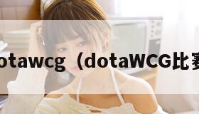 dotawcg（dotaWCG比赛）