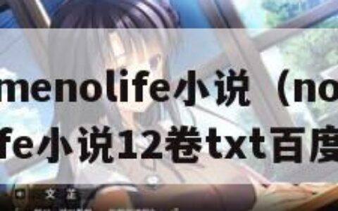 nogamenolife小说（nogamenolife小说12卷txt百度网盘）