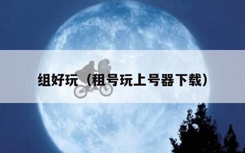 组好玩（租号玩上号器下载）