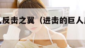 进击的巨人反击之翼（进击的巨人反击之翼图片）