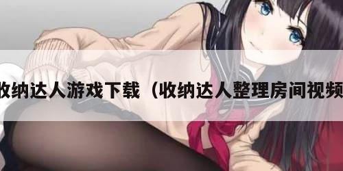 收纳达人游戏下载（收纳达人整理房间视频）