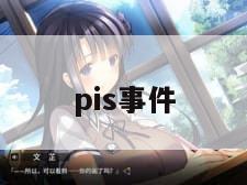 pis事件