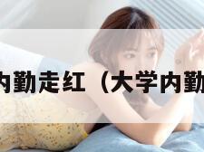 大学女神内勤走红（大学内勤招聘要求）