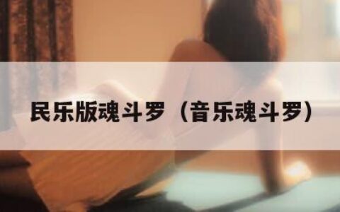 民乐版魂斗罗（音乐魂斗罗）