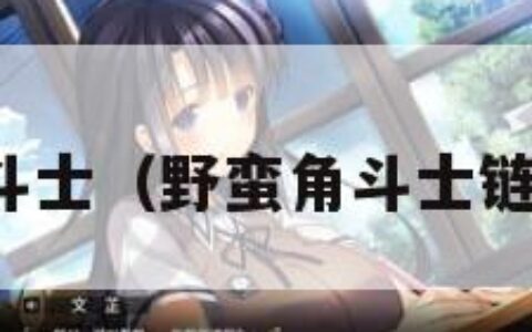 野蛮角斗士（野蛮角斗士链甲掉率）