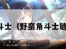 野蛮角斗士（野蛮角斗士链甲掉率）