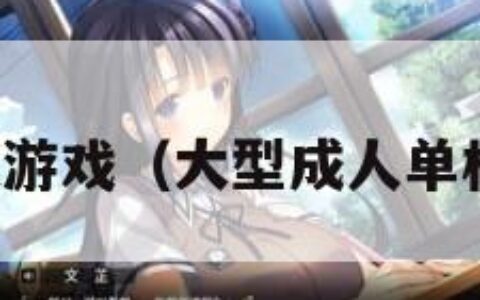 成人单机版游戏（大型成人单机游戏电脑）