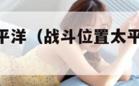 战斗位置太平洋（战斗位置太平洋重置mod）