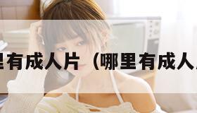 哪里有成人片（哪里有成人片?）