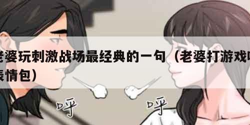 老婆玩刺激战场最经典的一句（老婆打游戏吗表情包）