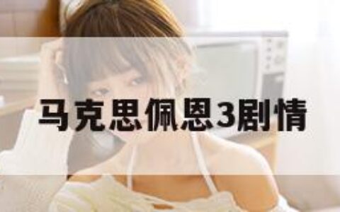 马克思佩恩3剧情