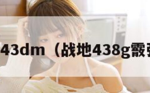 战地43dm（战地438g霰弹枪）