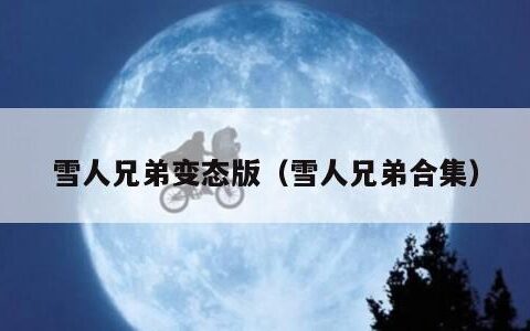 雪人兄弟变态版（雪人兄弟合集）