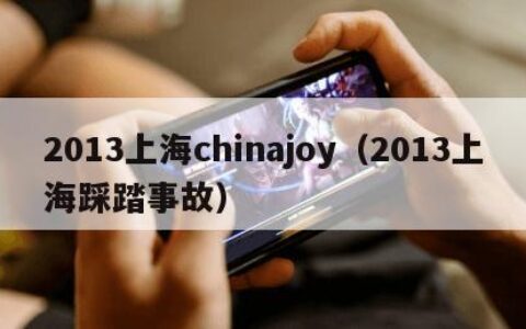 2013上海chinajoy（2013上海踩踏事故）