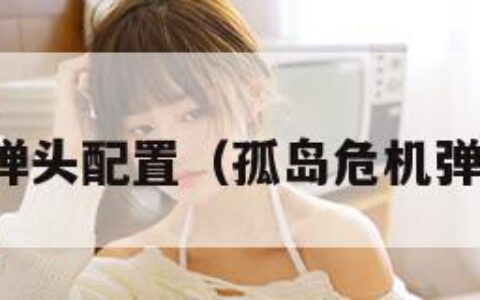 孤岛危机弹头配置（孤岛危机弹头重制版）