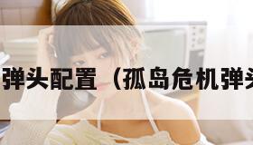 孤岛危机弹头配置（孤岛危机弹头重制版）