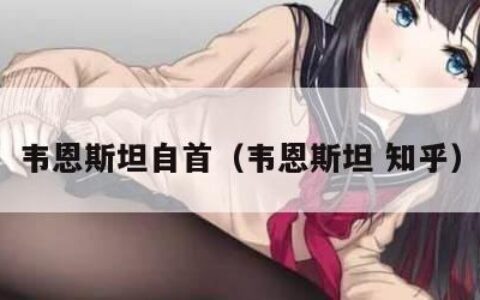 韦恩斯坦自首（韦恩斯坦 知乎）