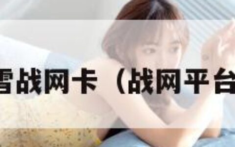 暴雪战网卡（战网平台卡）
