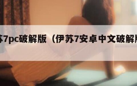 伊苏7pc破解版（伊苏7安卓中文破解版下载）