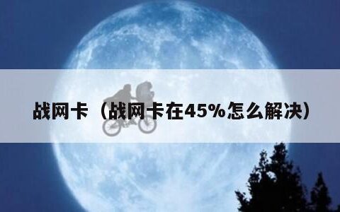 战网卡（战网卡在45%怎么解决）