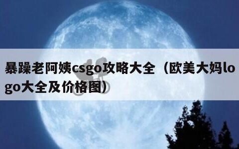 暴躁老阿姨csgo攻略大全（欧美大妈logo大全及价格图）