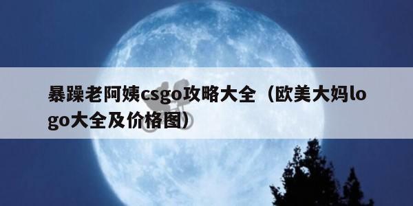 暴躁老阿姨csgo攻略大全（欧美大妈logo大全及价格图）