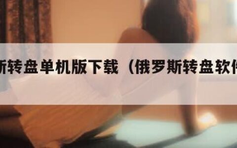 俄罗斯转盘单机版下载（俄罗斯转盘软件单机版）