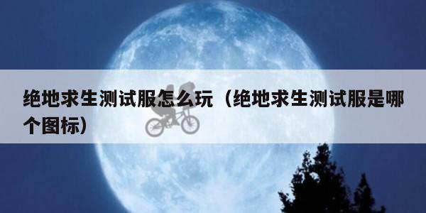 绝地求生测试服怎么玩（绝地求生测试服是哪个图标）