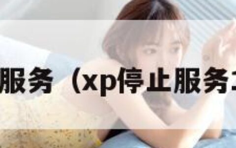 xp停止服务（xp停止服务10周年）