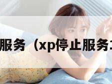 xp停止服务（xp停止服务10周年）