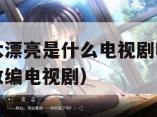 儿媳妇长的太漂亮是什么电视剧啊（爸爸放手我是你媳妇改编电视剧）